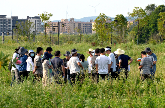 草地样地现场_副本.jpg 草地样地现场_副本.jpg