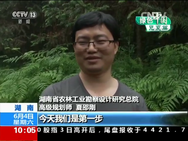 秉承林业传统精神 弘扬生态发展理念——规划分院设计团队接受中央电视台记者采访