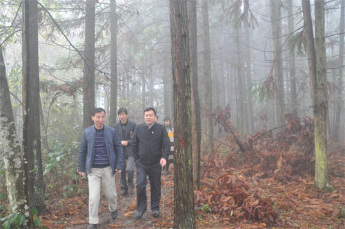 欧阳叙回书记赴怀化湘西张家界等地开展项目回访