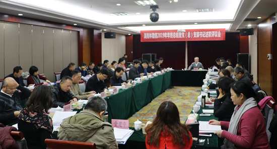 我院召开2019年年终工作总结暨党（总）支部书记述职评议会议
