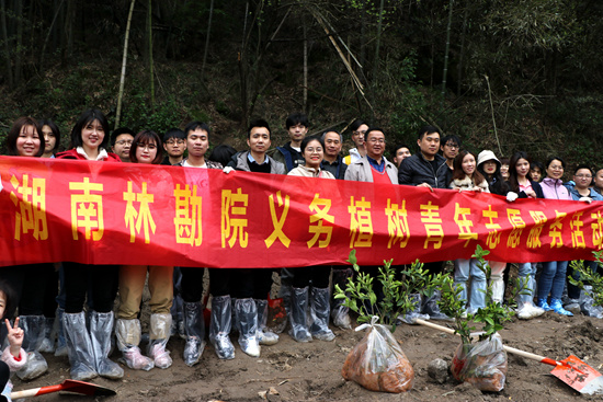 监测中心开展义务植树青年志愿服务活动暨青年座谈会