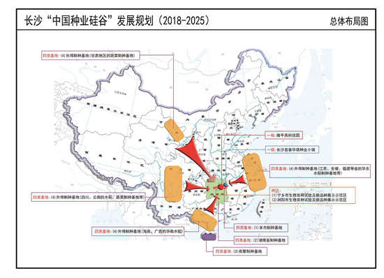 长沙·中国隆平种业硅谷发展规划（2019—2025年）