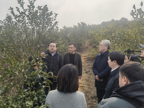 我院陪同省林业局经发中心调研株洲市渌口区林业工作