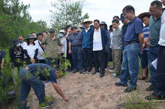 森林样地现场教学1_副本.jpg 森林样地现场教学1_副本.jpg