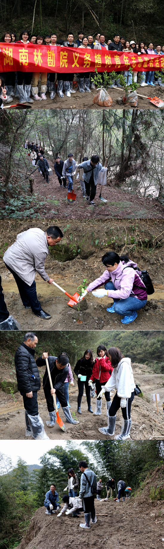 义务植树拼接.jpg 义务植树拼接.jpg